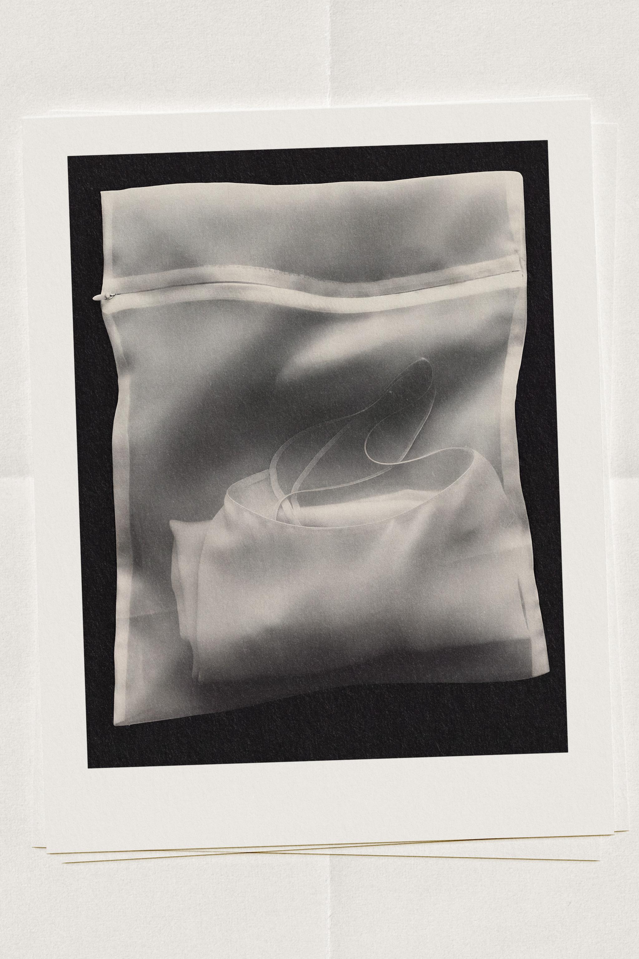 DELICATE GARMENT BAG 2-PACK